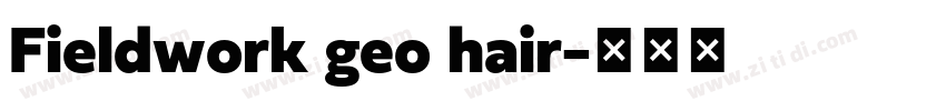 Fieldwork geo hair字体转换